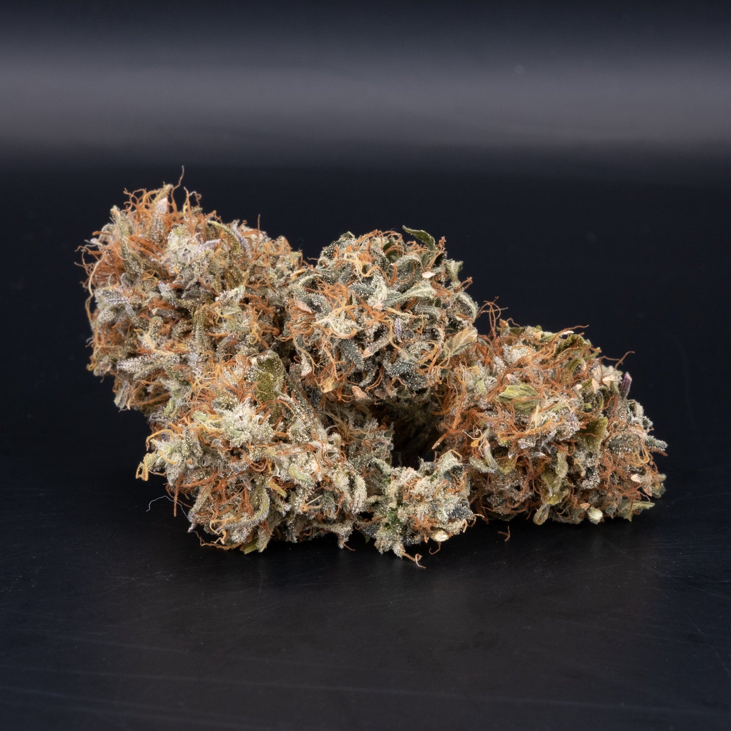 Harlem Renaissance 85 Days