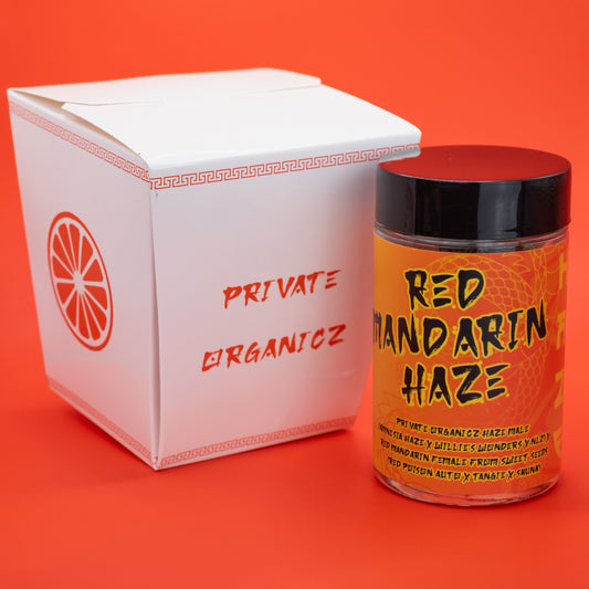 Red Mandarin Haze